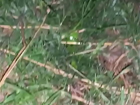 Outdoors Morning Pee